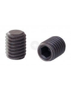 Wkręt dociskowy z końcem... 2