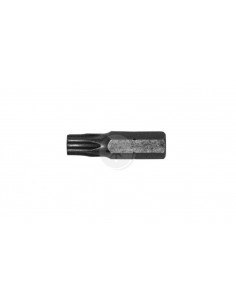 Grot 1/4 typu Torx 25 /20szt. 2
