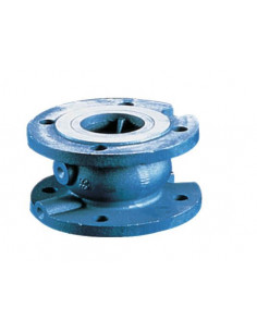 Zawór Zwrotny Żeliwny 402...