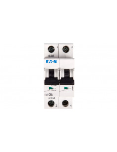 Wyłącznik nadprądowy 2P C...