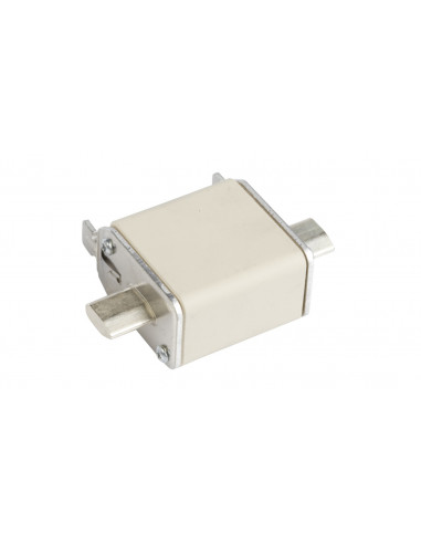 Wkładka bezpiecznikowa NH00 100A gF...