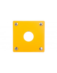 Płyta czołowa do montażu...