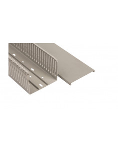 Korytko grzebieniowe...