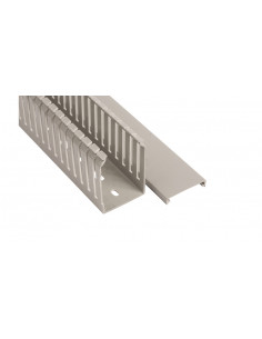 Korytko grzebieniowe...