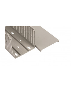 Korytko grzebieniowe...