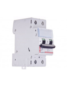 Wyłącznik nadprądowy 2P D...