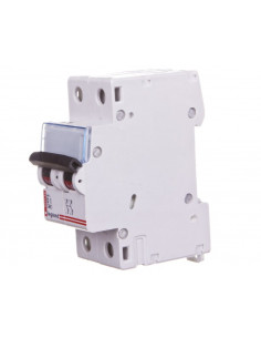 Wyłącznik nadprądowy 2P D...