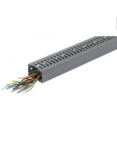 tehalit Kanał grzebieniowy...