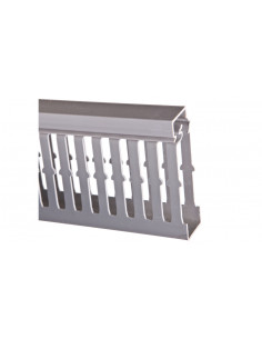 tehalit Kanał grzebieniowy...