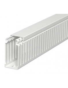 Korytko grzebieniowe...