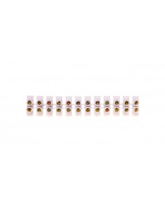 Listwa zaciskowa 12x2,5mm2...