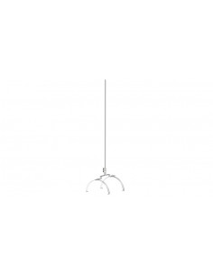 Iglica gąsiorowa podwójna...