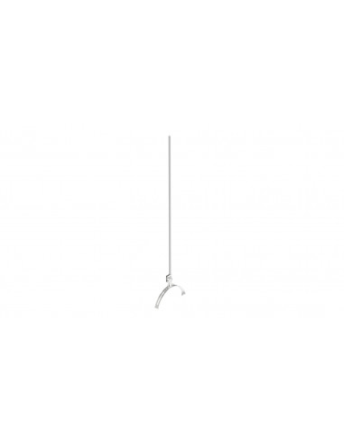 Iglica gąsiorowa pojedyncza...