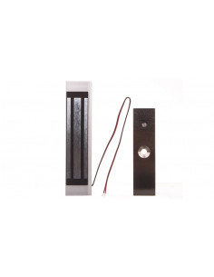 Zwora elektromagnetyczna...