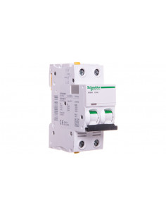 Wyłącznik nadprądowy 2P D...