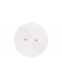 Berker R.1/R.3 Klawisz...