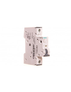 Wyłącznik nadprądowy 1P B...