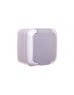 Palmiye Gniazdo Z...