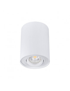 Oprawa punktowa sufitowa...