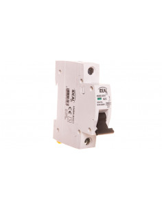 Wyłącznik nadprądowy 1P B...