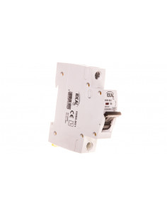 Wyłącznik nadprądowy 1P B...