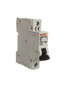 Ogranicznik mocy 1P 20A...