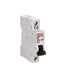 Ogranicznik mocy 1P 25A...