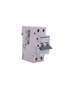 Wyłącznik nadprądowy 2P C...