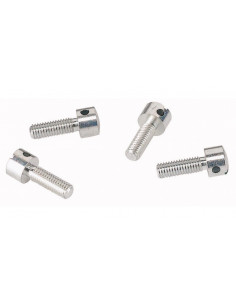 Śruba do plombowanie BPZ-FP...