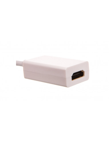 Adapter mini DisplayPort 1.1 - HDMI...