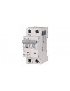 Wyłącznik nadprądowy 2P C...