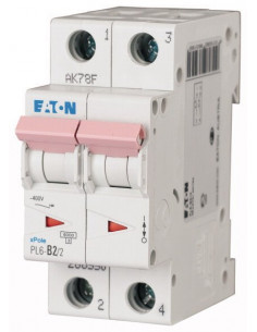 Wyłącznik nadprądowy 2P D...