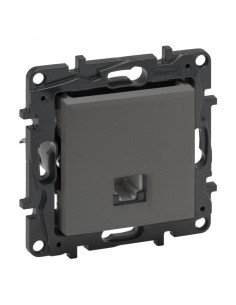 Niloe Step Gniazdo...