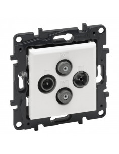 Niloe Step Gniazdo...