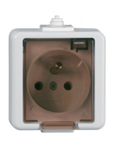 Jantar gniazdo pojedyncze...