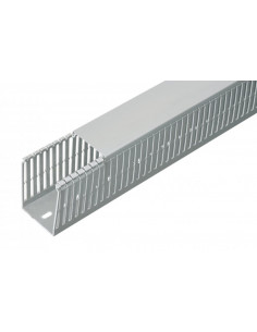 Korytko grzebieniowe...