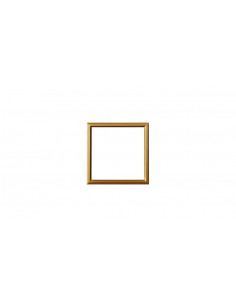 DANTE Redukcja ramki DANTE...