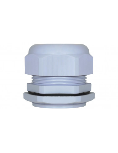 Dławik kablowy PG36 ENE-00411