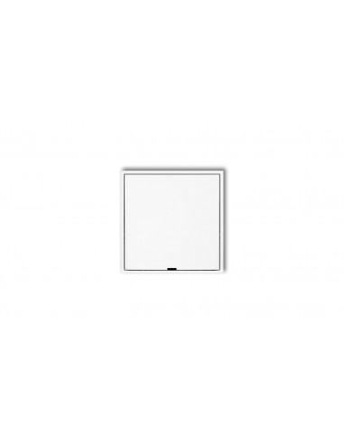 Ramka pośrednia z zaślepką biały MRPZ...