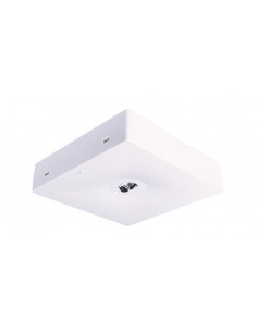 Oprawa awaryjna natynkowa...