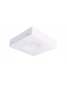 Oczko awaryjne N/T Starlet... 2