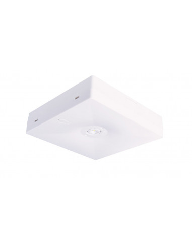 Oczko awaryjne N/T Starlet QUAD LED...