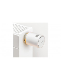 Netatmo PRO Głowica...