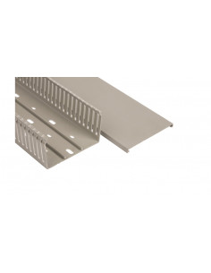 Korytko grzebieniowe...