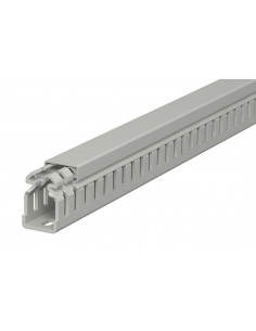 Korytko grzebieniowe...