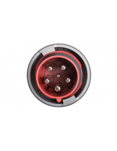 Wtyczka PowerTOP Xtra 63A...