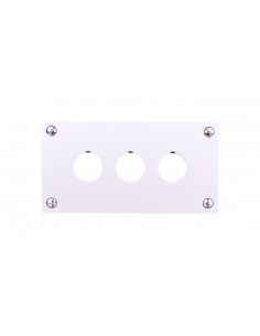 Płyta czołowa do montażu...