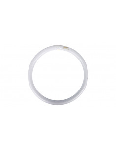 Świetlówka kołowa G10q 40W...