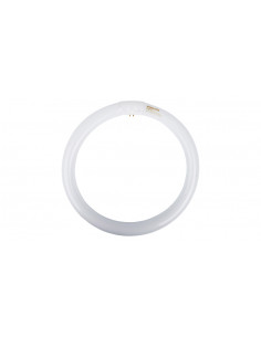 Świetlówka kołowa G10q 32W...