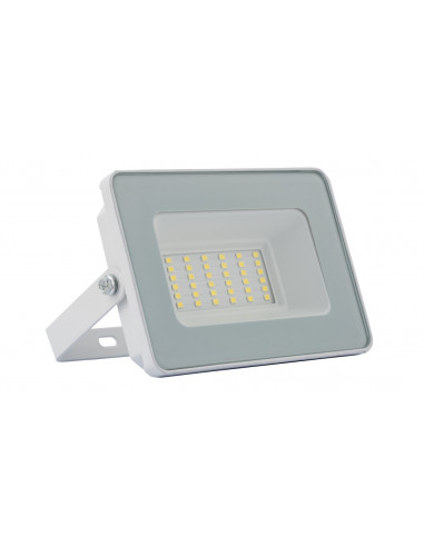 Naświetlacz ledowy 30W IESCH 022